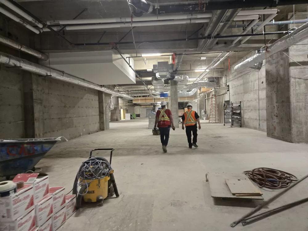 20251009 082828 jpg 2ce9d028 e47a 42e5 810d 4f0e6030c583